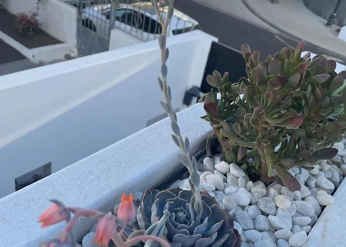 Вилла Casa Fariones Пуэрто дель Кармен